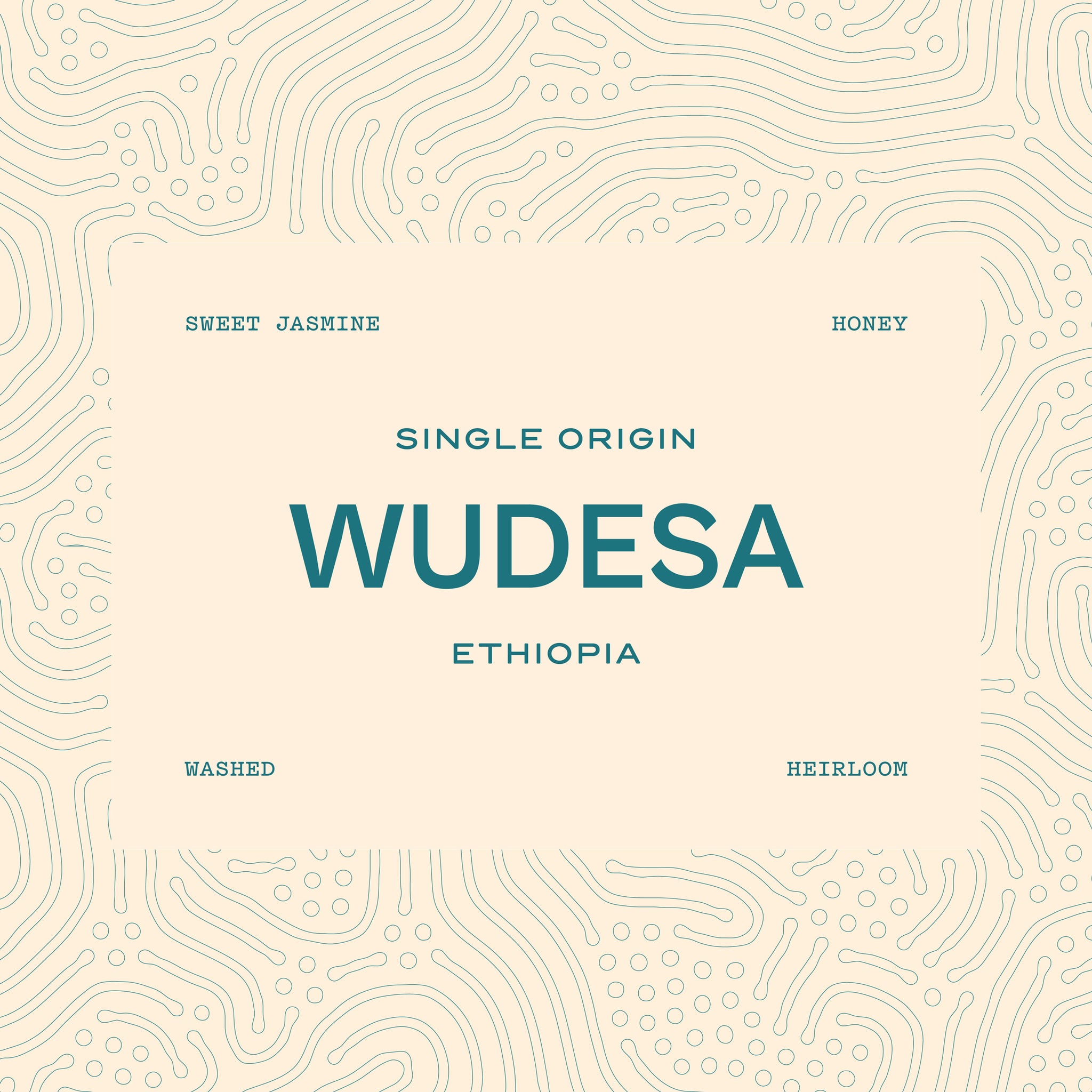 Wudesa | Ethiopia